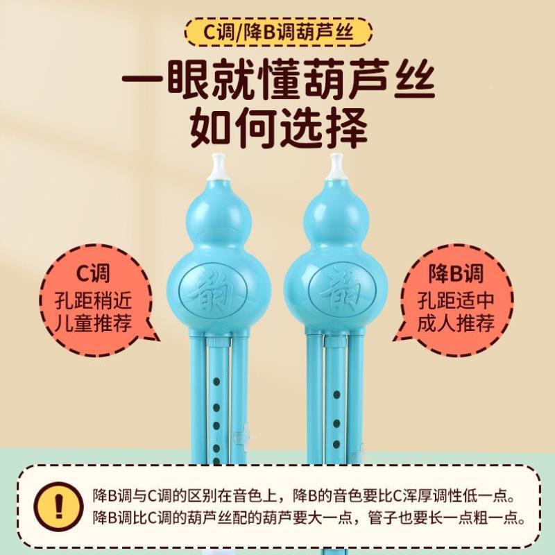 葫芦丝小学生专用儿童C调降B调/小D调专业演奏型胡芦丝乐器初学者