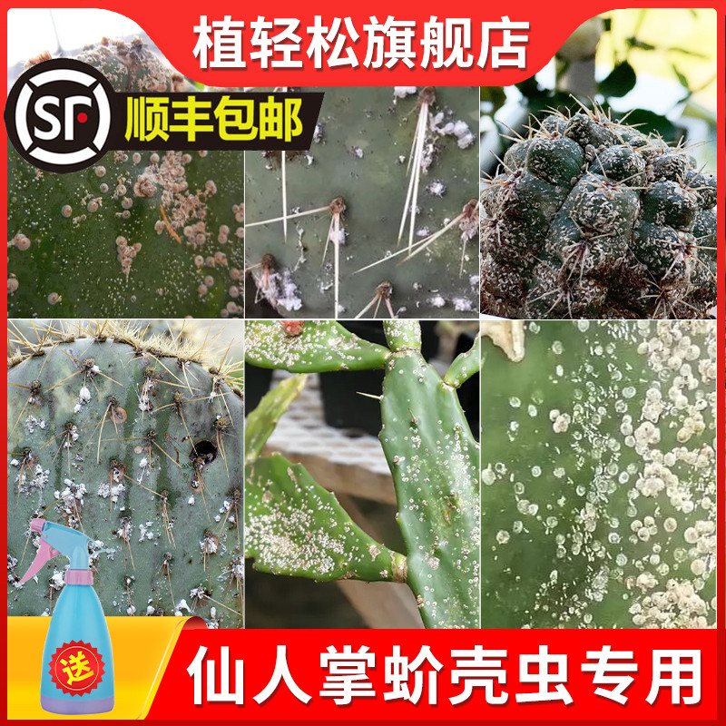 植轻松仙人掌蚧壳虫杀虫剂