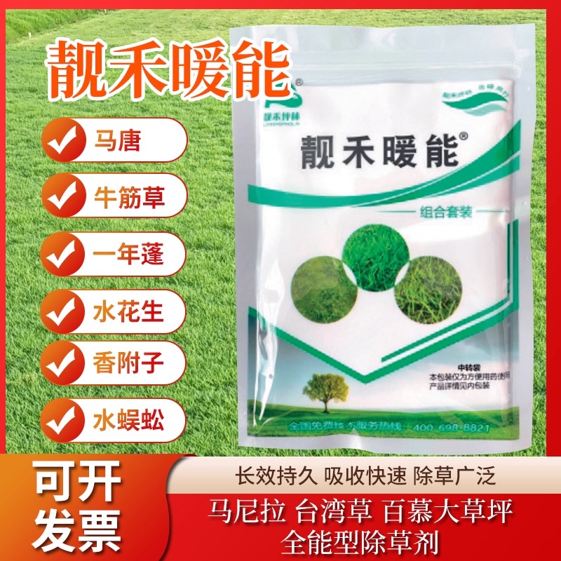 马尼拉台湾草除水花生牛筋草