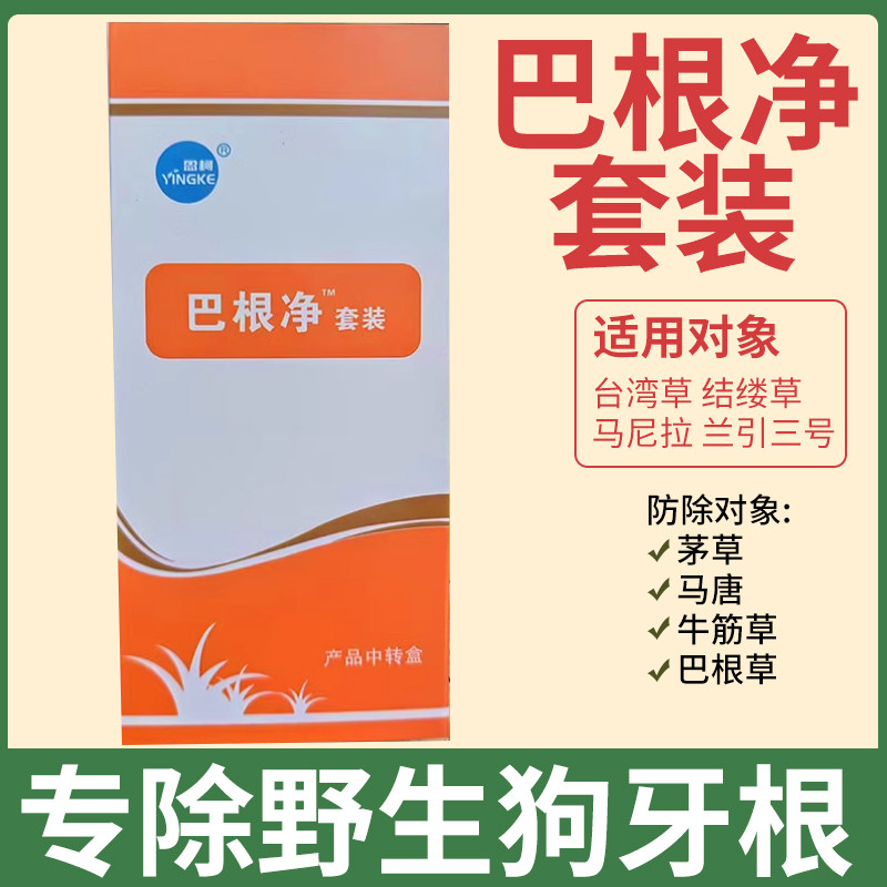 盈柯巴根净静杂草除草剂马尼拉专用除野生狗牙根巴根草马唐牛筋草 - 实物图