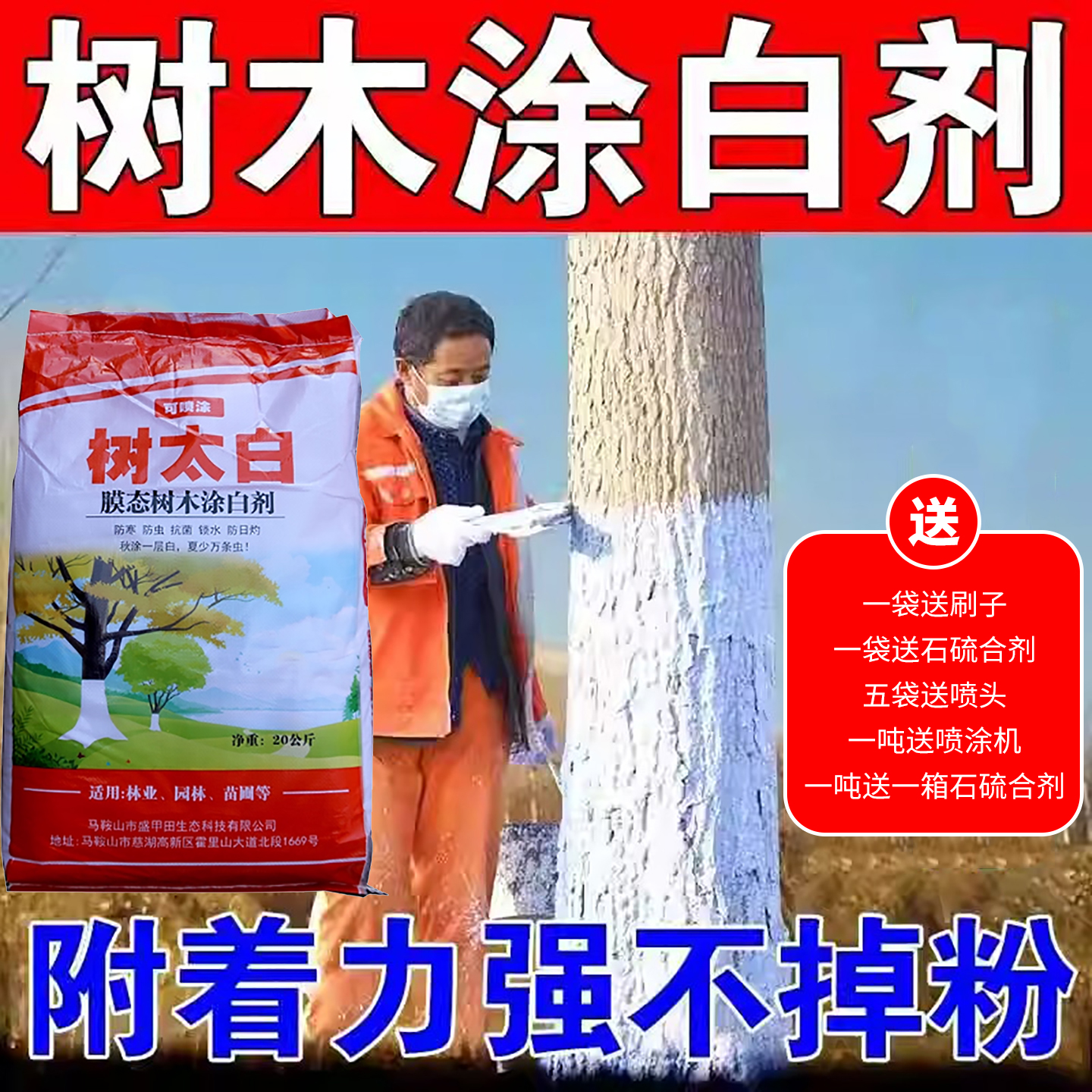 园林果树刷白防菌保暖涂白防虫
