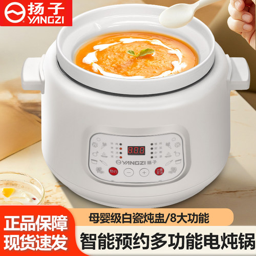 扬子电炖锅煲汤炖汤家用煮粥神器