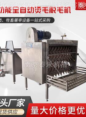 家禽一脱毛机鸡毛鸭家鹅烫毛脱机全自动禽烫脱ZBA体机打毛机生产