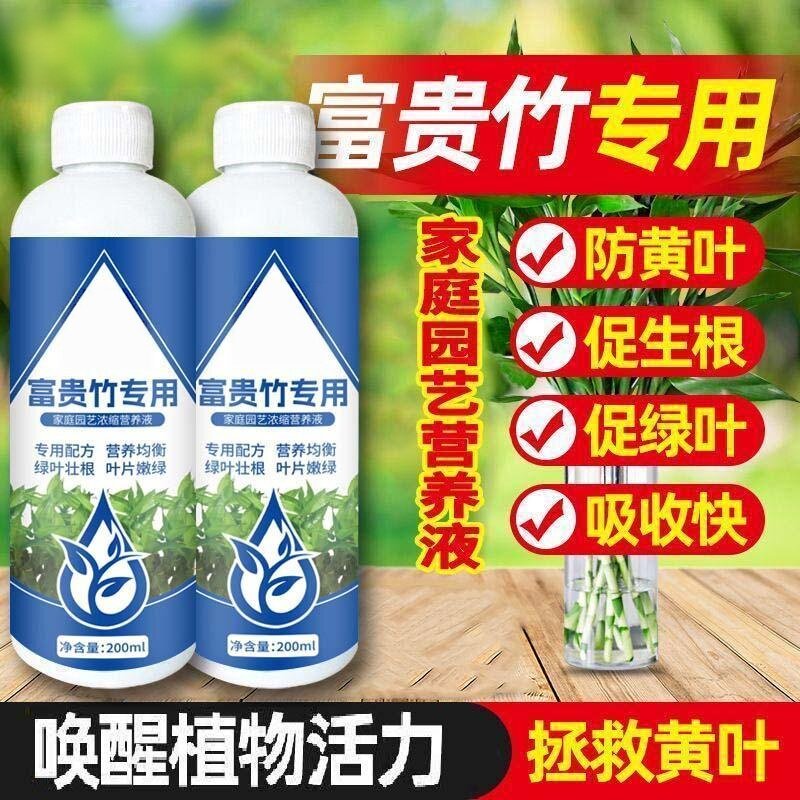 怡家彤乐富贵竹专用家庭园艺浓缩营养液营养均衡叶片嫩绿绿叶壮根