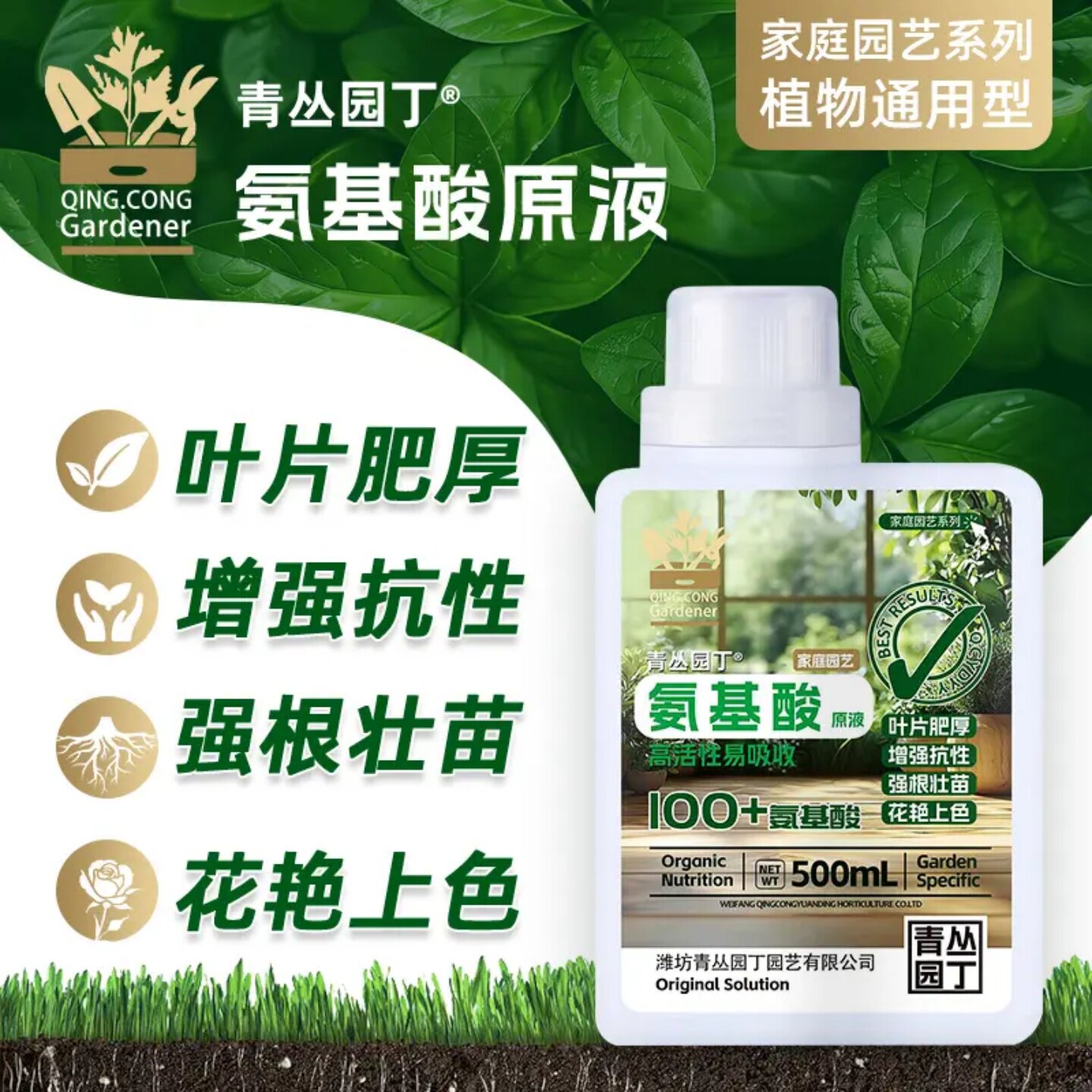青丛园丁氨基酸原液叶片肥厚增强抗性强根壮苗家庭园艺植物通用型