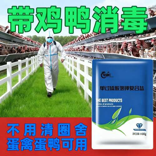 单过硫酸氢钾复合盐养殖场消毒粉畜禽鸡鸭鹅猪牛羊兽用圈舍消毒剂