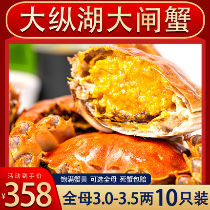 大纵湖大闸蟹鲜活香辣大螃蟹六月黄现货水产特大全公母蟹礼盒10只