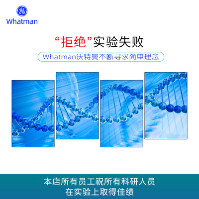 whatman2号定性滤纸实验室圆形滤纸1002110125150185 8um中速