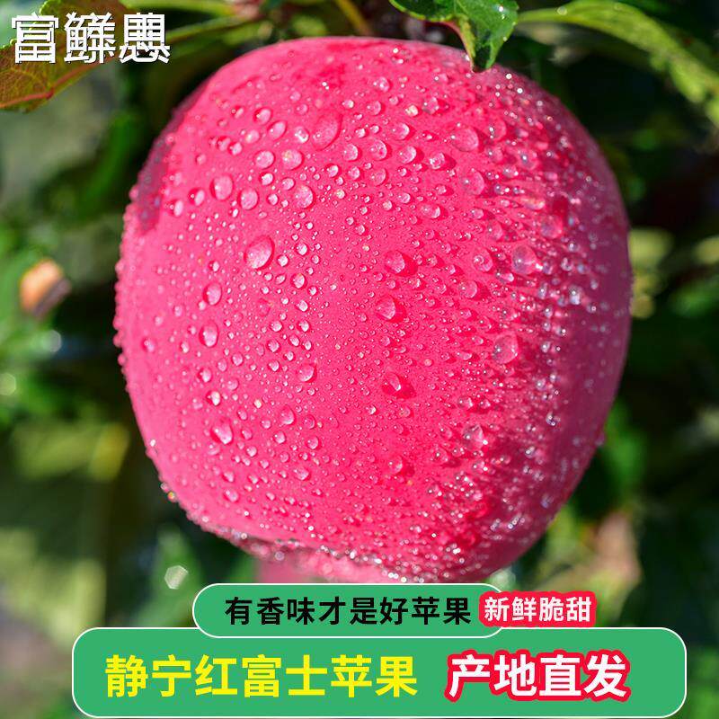 甘肃静宁苹果红富士礼盒新鲜水果脆冰糖心萍果整箱包邮甜苹果孕妇怎么看?