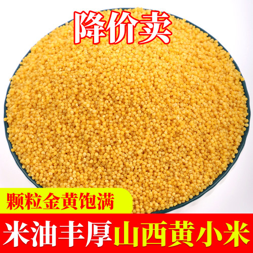 源合态山西农家优质黄小米