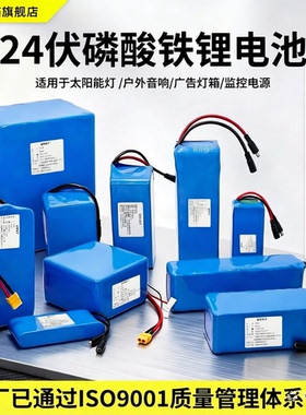 24V磷酸铁锂电池组32140磷酸铁锂电芯支持定制25.6V电池组29.2V