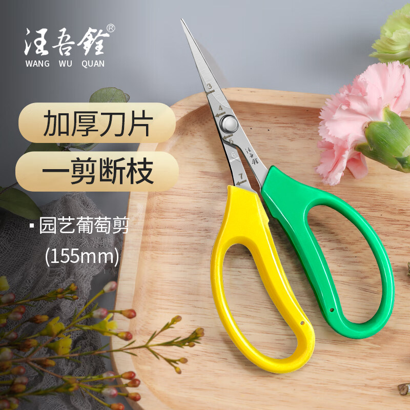 汪吾铨翘头园艺花剪修枝剪水果专用剪刀修剪葡萄盆景柑橘家用剪子