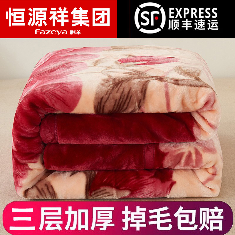 恒源祥集团彩羊毛毯拉舍尔毛毯加厚冬季毛毯加绒保暖盖毯毛毯被