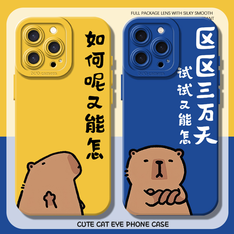 适用如何呢又能怎手机壳卡皮巴拉