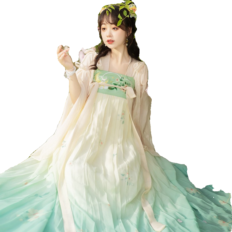 汉尚豪依唐制汉服女原创中国风对襟齐腰襦裙刺绣超仙春夏秋款套装