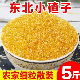 速发五谷杂粮玉米渣2024新大小农家子50g5斤碴笨碴子苞米糁棒子糁