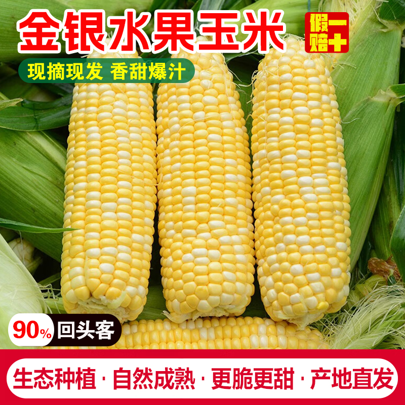 新鲜云南金银水果玉米9斤