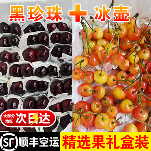 【车厘子双拼】黄蜜樱桃套袋车厘子汉源现摘新鲜水果4斤精品大果