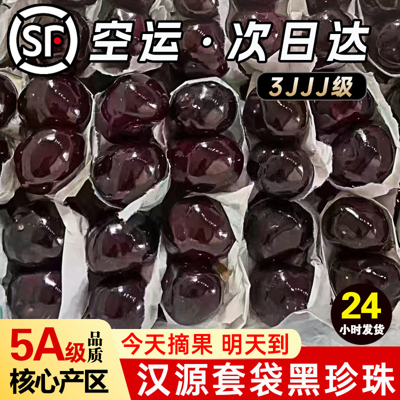 四川汉源黑珍珠车厘子现摘高山特大果应季孕妇新鲜水果套袋大樱桃