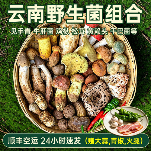 【空运次日达】新鲜野生菌杂菌菇