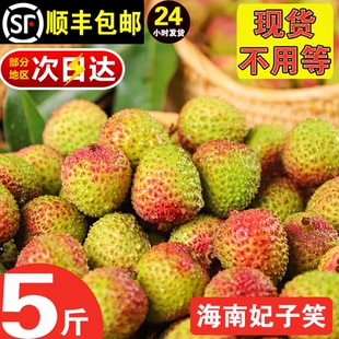 顺丰包邮·海南妃子笑荔枝5斤礼盒新鲜热带水果当季现摘产地直发