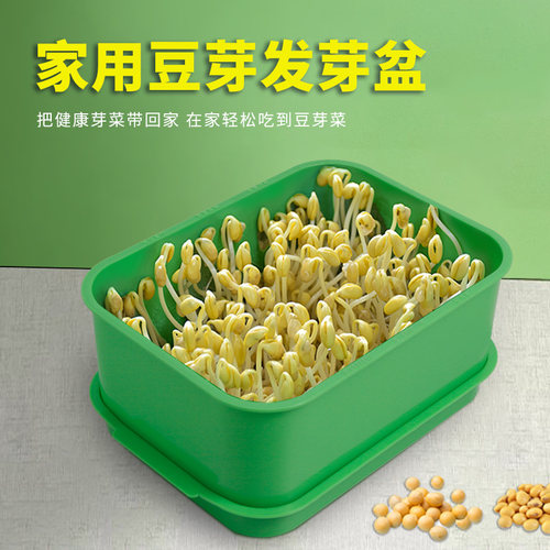 水培豆芽机育苗发芽发豆芽专用盆