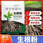 千泰生根粉微生物菌剂盆栽绿植园艺植物花卉通用壮根花肥叶面肥料