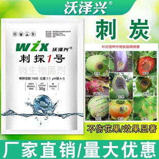 沃泽兴刺炭刺探1号微生物菌剂预防炭疽以菌治菌升级配方不伤花果