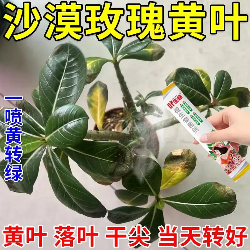 叶生命微生物菌剂沙漠玫瑰专用药黄掉叶枯枝不开花绿叶壮苗促开花