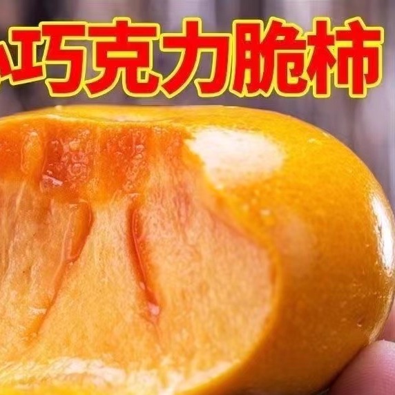 甜脆柿子新鲜应季孕妇水果硬柿子云南脆甜爽口无籽脆柿子