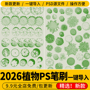 平图树景观园林小清新水彩树乔木灌木总平面图公园彩平植物PS笔刷
