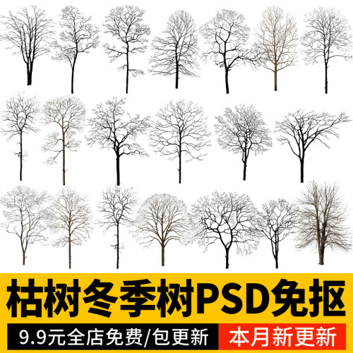 枯树PS素材冬季景观建筑效果图后期乔木光秃树干树枝psd免扣配景