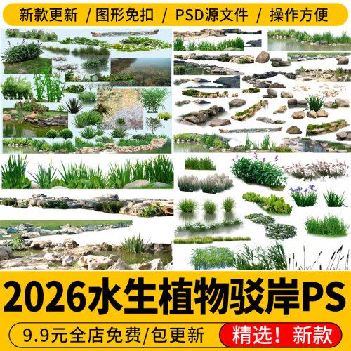滨水公园湿地 河道驳岸生态水生植物石头psd效果图后期免扣ps素材