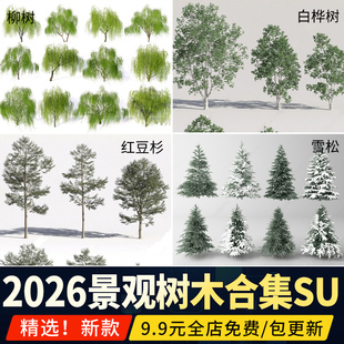 柳树垂柳杨柳白桦杨树水杉雪松红豆杉松树圣诞树草图大师SU模型