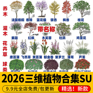 2026园林景观植物3d树木乔木灌木地被花卉草花SU模型素材库合集