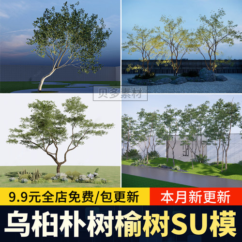乌桕丛生朴树榆树SU模型造型公园庭院孤景树乔木法桐栾树草图大师