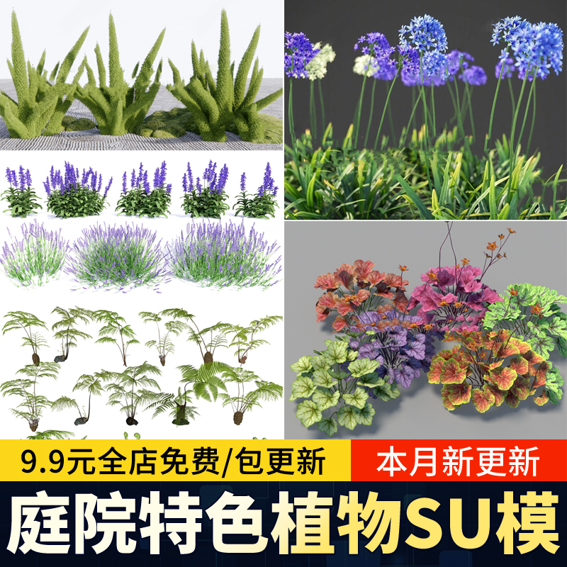 迷迭香薰衣鼠尾草百子莲肾蕨苔草矾根狐尾天门冬佛甲草玉簪SU模型