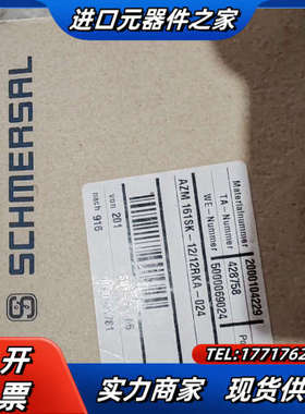 AZM161SK-12/12RKA-024 安全锁 4287议价