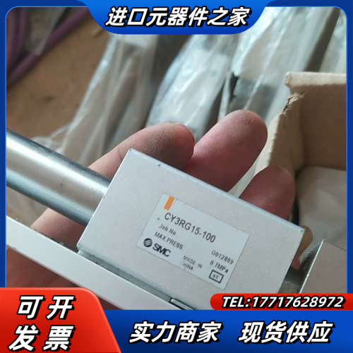 CY3RG15-100无杆气缸议价