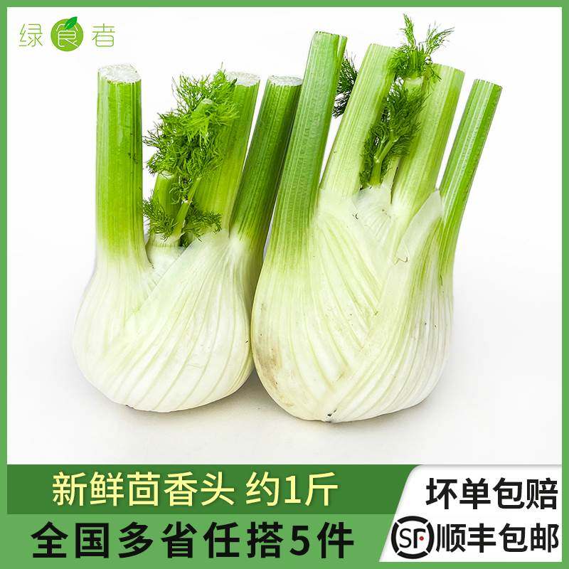 新鲜茴香头约1斤 茴香根茴香球茎 西餐料理香料蔬菜食材 5件包邮
