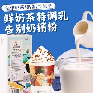 特调乳斯美乐塔含乳饮料厚乳雪顶鲜奶茶咖啡拿铁基底牛乳奶茶原料