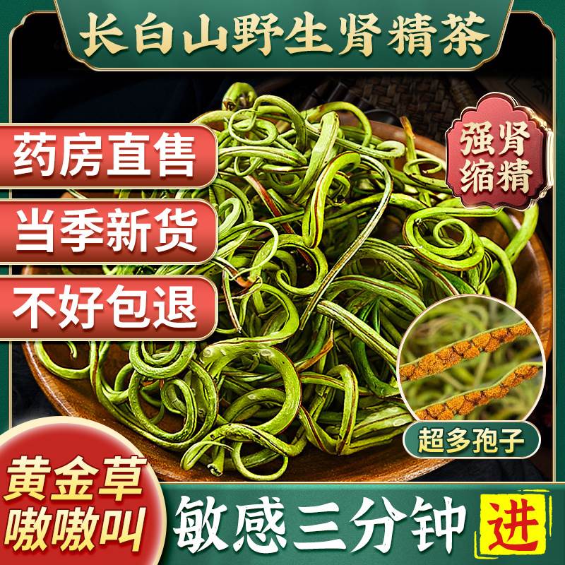 东北长白山肾精茶黄金草嗷嗷叫肾精草化石草非野生养生男士茶
