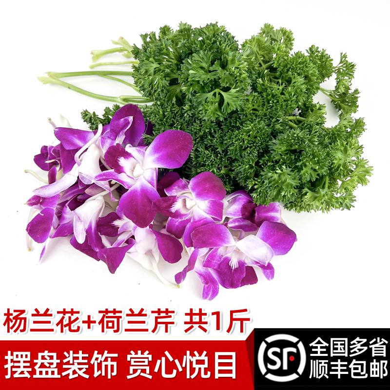 新鲜摆盘杨兰花法香荷兰芹250g西餐点缀花草装盘酒店菜品日料