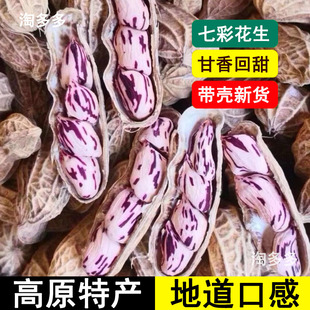 云南七彩花生带壳新鲜晒干生的炒熟原味五彩花生米美味年新货特产