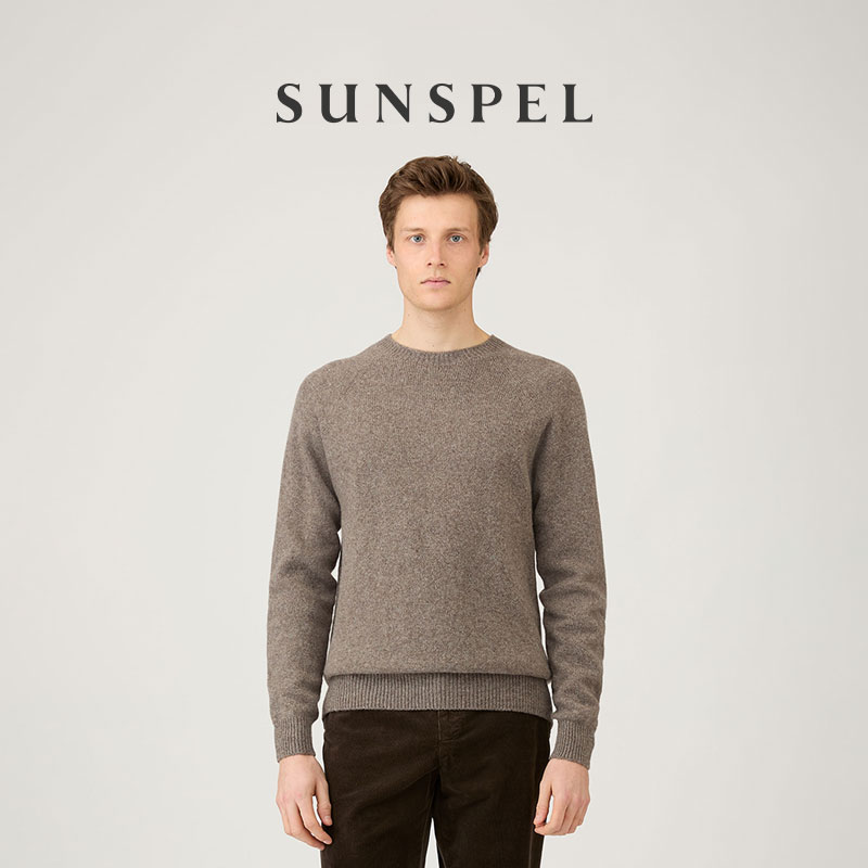 SUNSPEL男士秋冬针织圆领毛衣