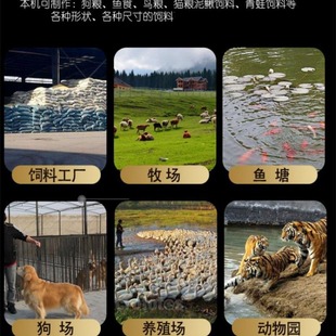 40型全自动鱼饲料膨化机 宠物猫鱼虾鸟食颗粒机 小型柴油狗粮机