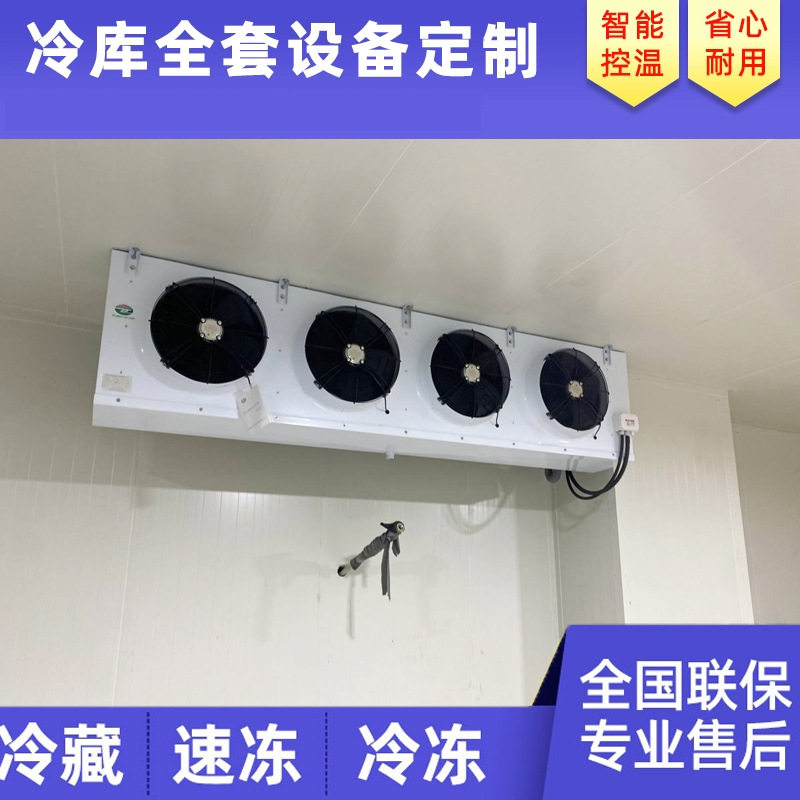 Cold Room冷库定制全套设备冷冻冷藏保鲜蔬菜水果肉类设计安装