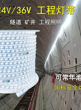 24V36VLED灯带户外防水工程照明隧道工地地下室室内贴片灯条