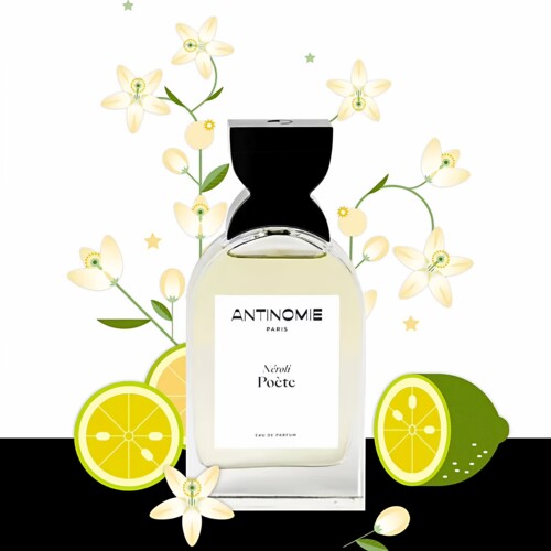 法国Antinomie香水羞涩林木小样