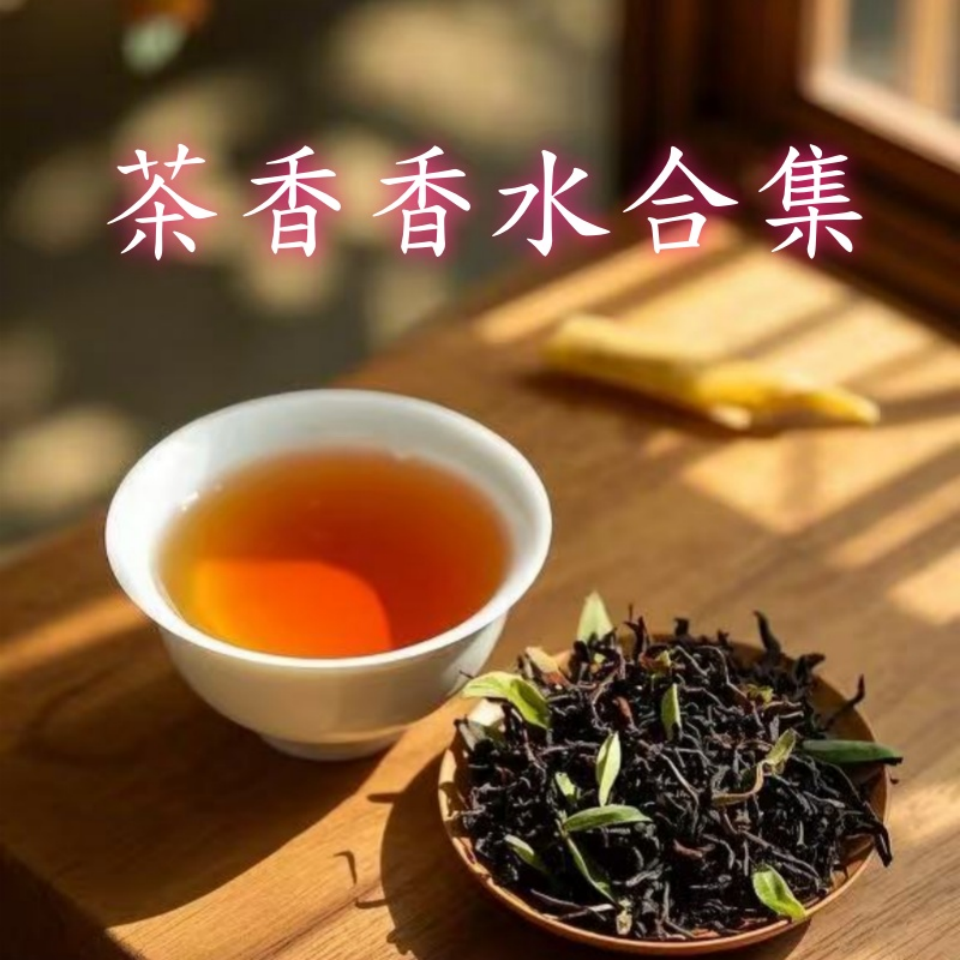 茶香系列香水乌龙茶29茉莉花茶红茶白茶普洱茶大红袍西湖龙井小样